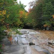 Fall outing to Flume Gorge and Mount Cannon in NH