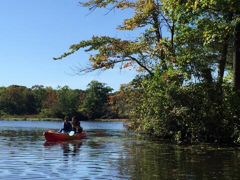 fall lab outing