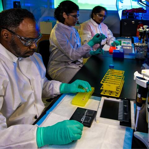 Researcher filling yellow container in laboratory