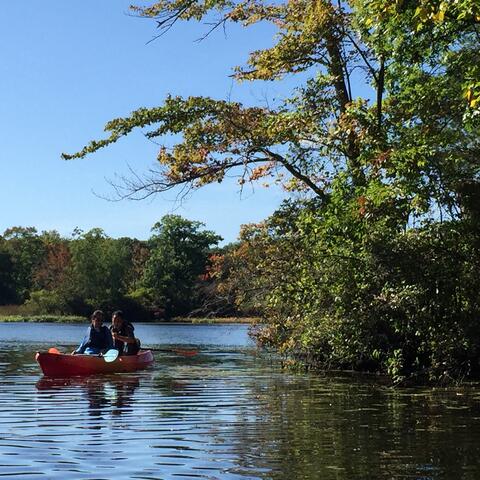 fall lab outing
