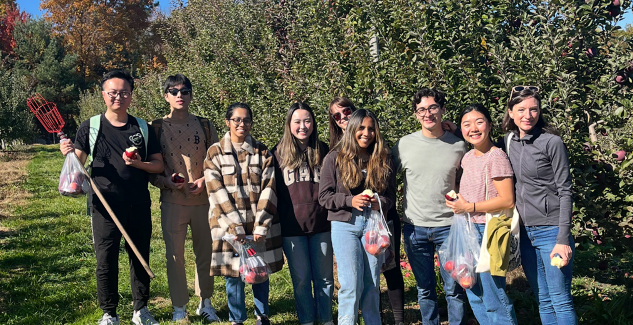 Apple picking