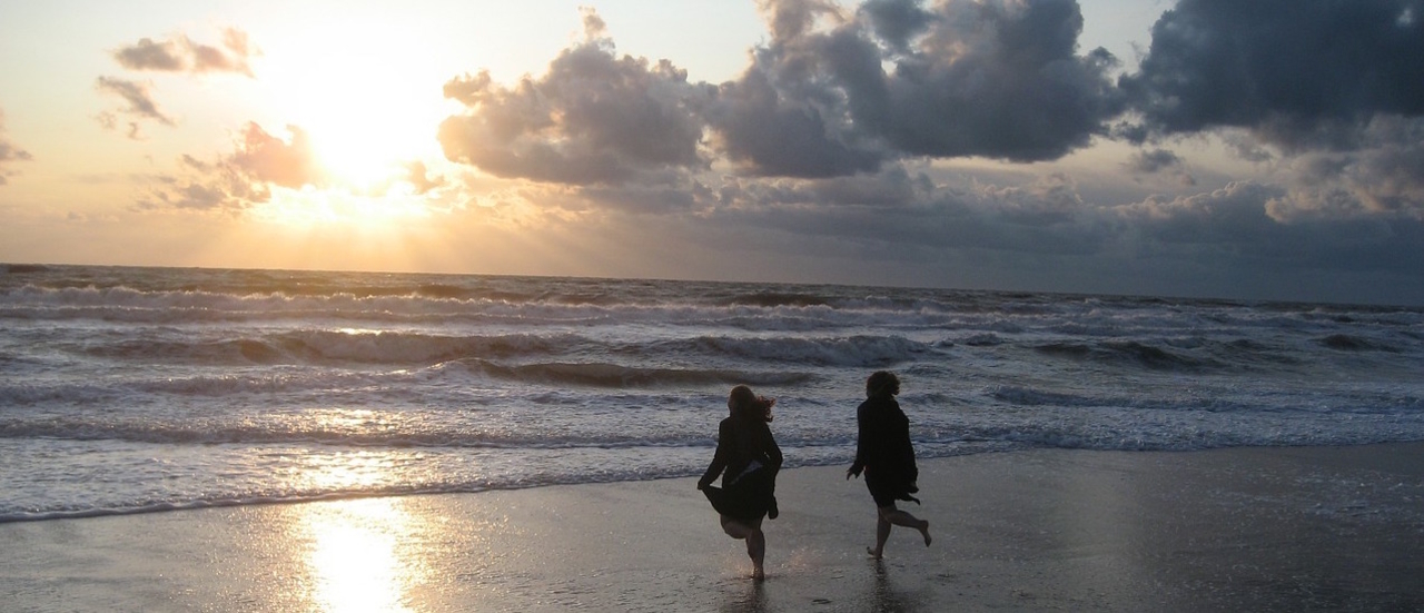 ​​Image by Dieter-Germany-via Pixavay