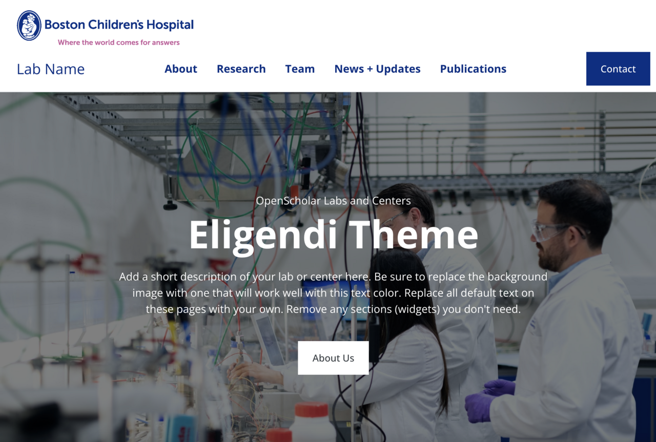 Eligendi Lab screenshot