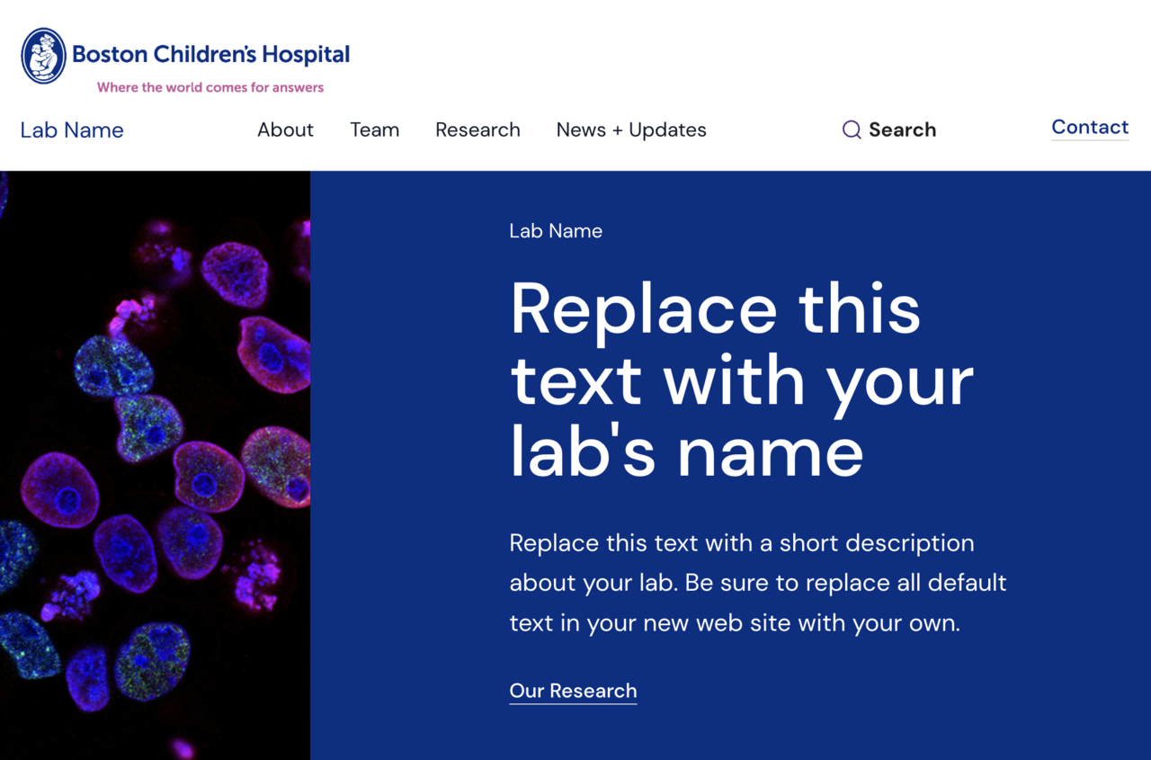 Modern Lab screenshot