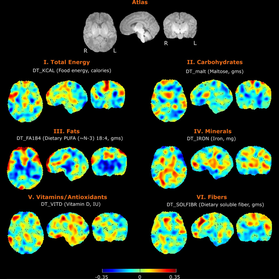 Nutrition and Neurodevelopment Activity